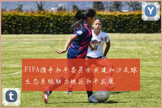 FIFA携手和平委员会共建加沙足球生态系统助力地区和平发展