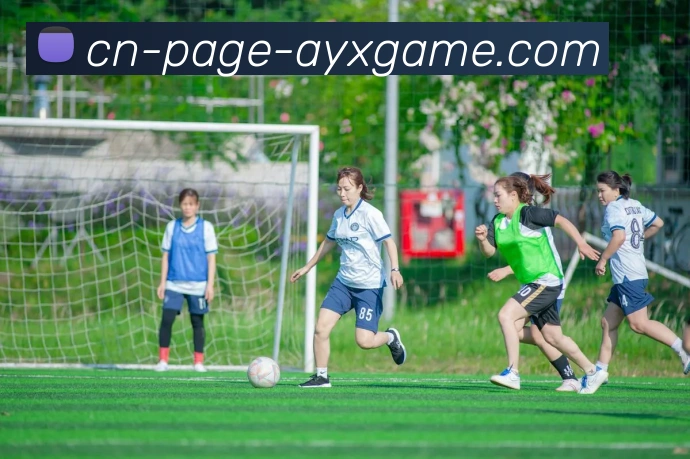 爱游戏品牌故事