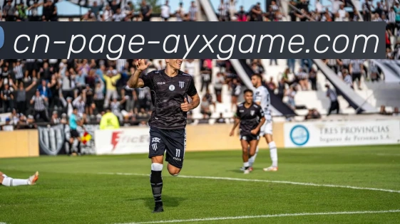 爱游戏服务体系